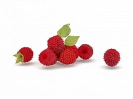 Fresh mulberry fruit 3d model preview