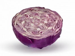 Half of purple cabbage 3d preview