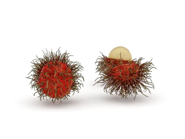 Rambutan fruits and peeled rambutan 3d rendering