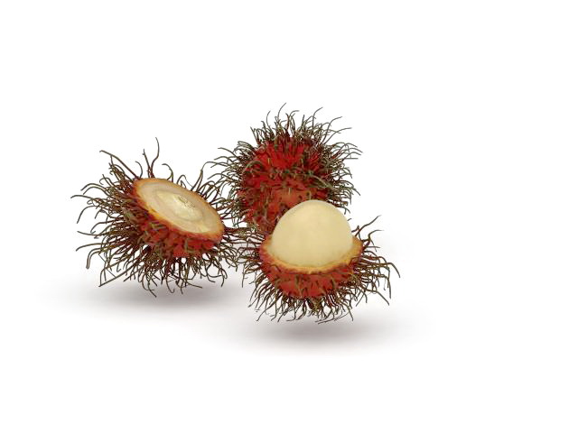 Rambutan fruits and peeled rambutan 3d rendering