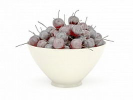 Bowl full of cherries 3d model preview