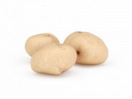Fresh potato 3d model preview