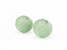 Edible vegetable cabbage 3d model preview