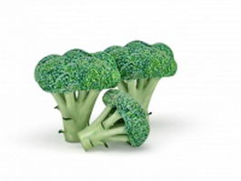 Calabrese broccoli 3d model preview