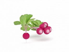 Red radish with leaf 3d model preview