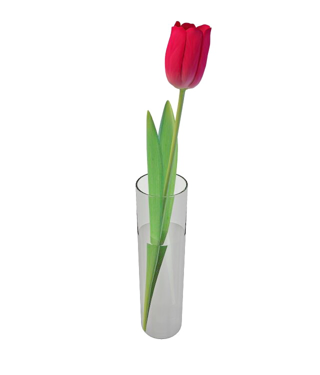Red  tulip in glass vase 3d rendering