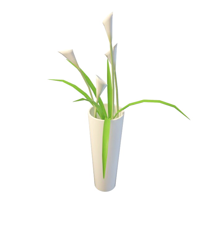 Calla Lily in vase 3d rendering
