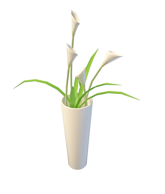 Calla Lily in vase 3d rendering