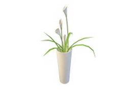 Calla Lily in vase 3d model preview