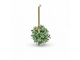 Hanging succulent plants 3d model preview