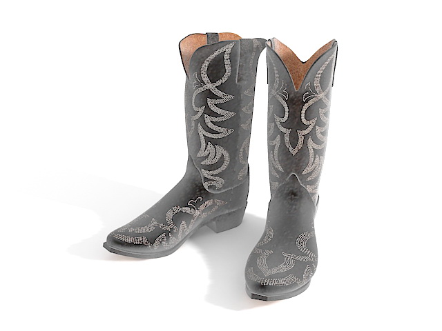 Womens cowboy boots 3d rendering