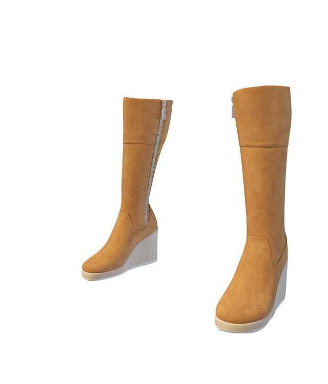Wedge heeled knee high boots 3d rendering