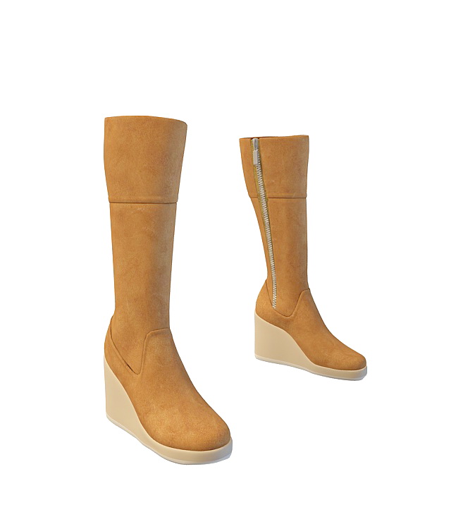 Wedge heeled knee high boots 3d rendering