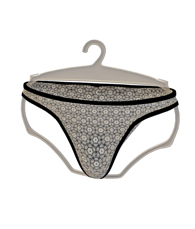 Underwear panties 3d rendering