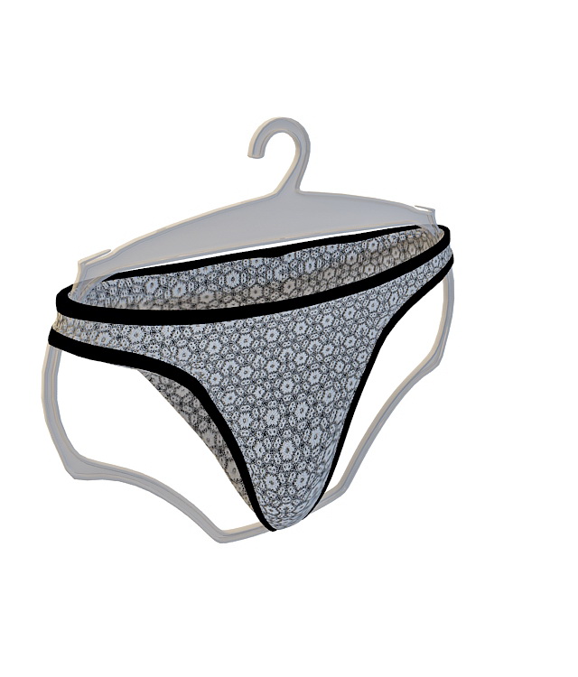 Underwear panties 3d rendering