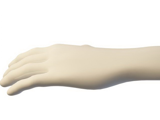 Hand mannequins 3d rendering