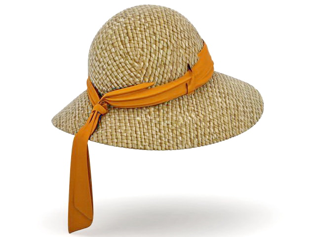 Ladies sun hat 3d model 3ds max files free download - modeling 33142 on ...
