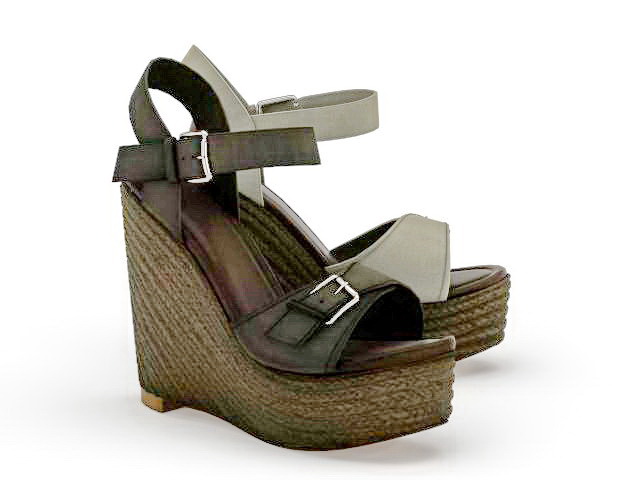 Wedge platform sandals 3d rendering
