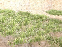 Steppe landform 3d model preview