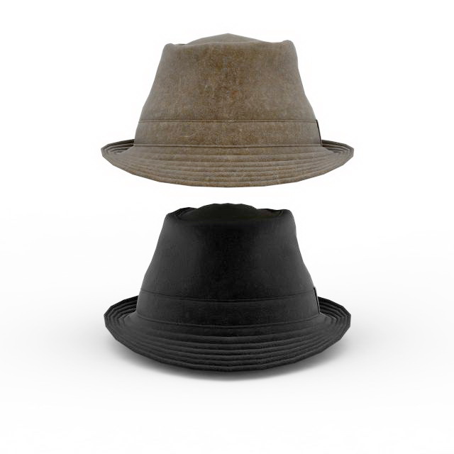 3D model of Indiana Jones hat. 