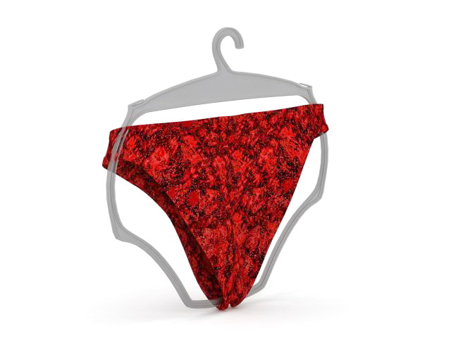 Red panties 3d rendering