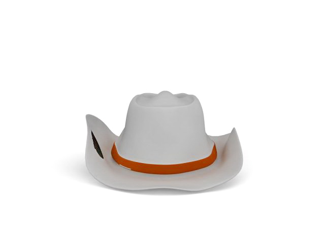 Cowboy hat 3d rendering