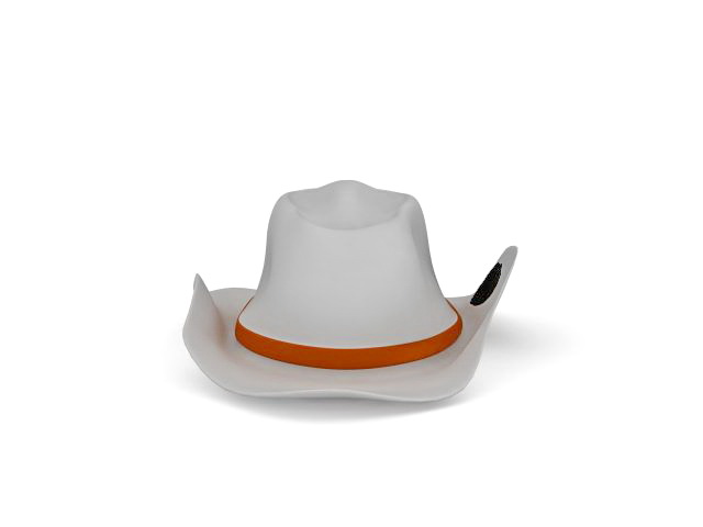 Cowboy hat 3d rendering