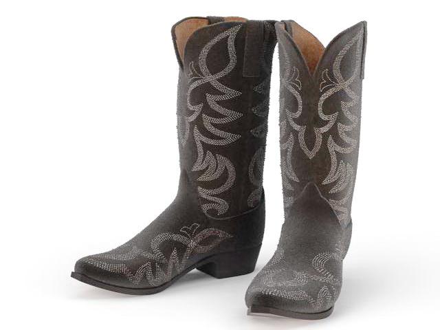 Cowgirl boots 3d rendering
