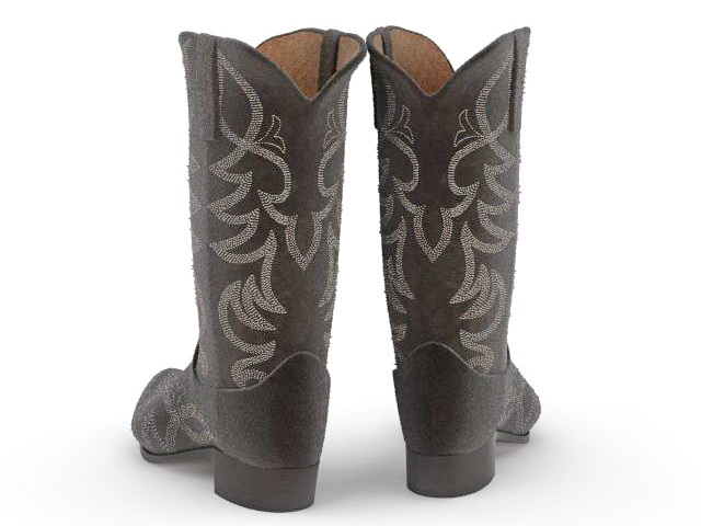 Cowgirl boots 3d rendering