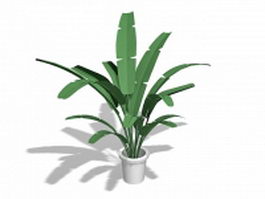 Potted banana tree 3d model preview