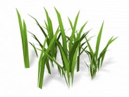 Bamboo grass 3d model preview