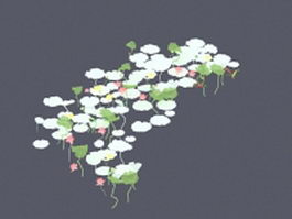 White water lily 3d preview