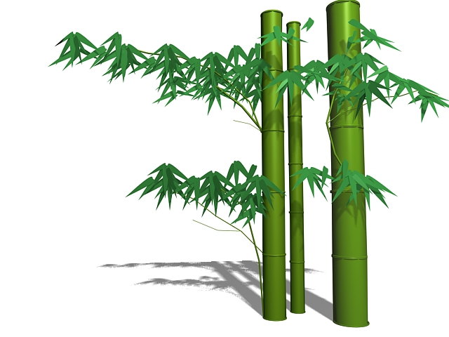 Bamboo stem 3d rendering