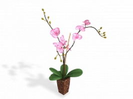 Potted flowers 3d model preview