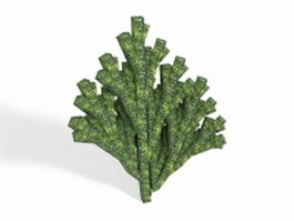 Green Acropora coral 3d model preview