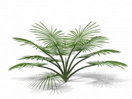 Decorative palm tree 3d preview
