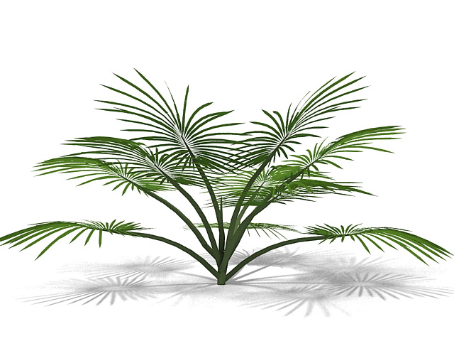 Decorative palm tree 3d rendering