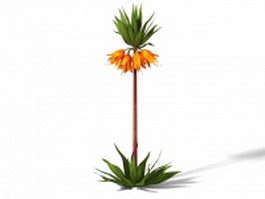Crown Imperial Fritillaria 3d model preview