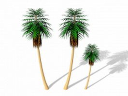 Palm trees 3d model preview