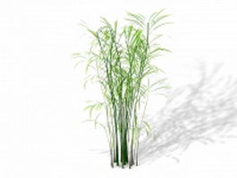 Butterfly palm house plant 3d model preview