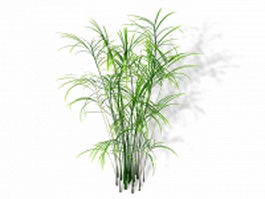 Bamboo palm houseplant 3d preview