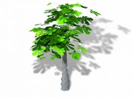 Braided money tree 3d model preview