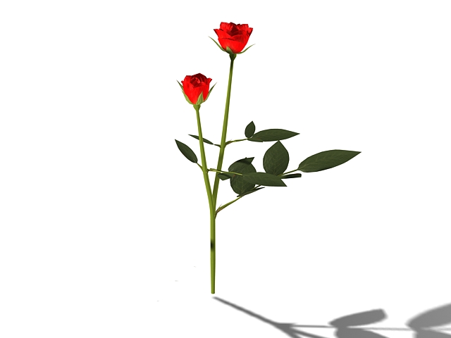 Red rose flowers 3d rendering