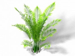 Areca palm houseplant 3d model preview