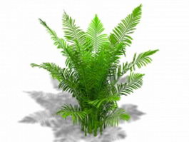 Areca palm plant 3d model preview