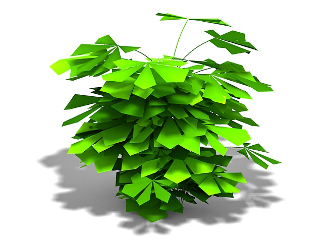 Philodendron indoor plant 3d rendering