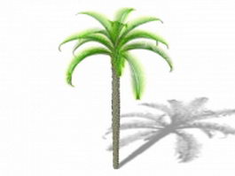 King sago palm 3d model preview