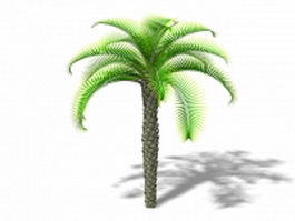 Queen sago palm 3d model preview