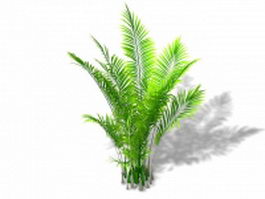 Areca palm plant 3d model preview