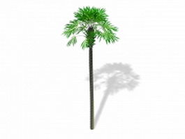 Tall palm tree 3d model preview